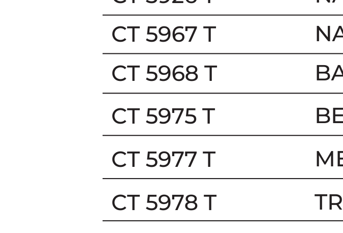 Carta CT 5981 T